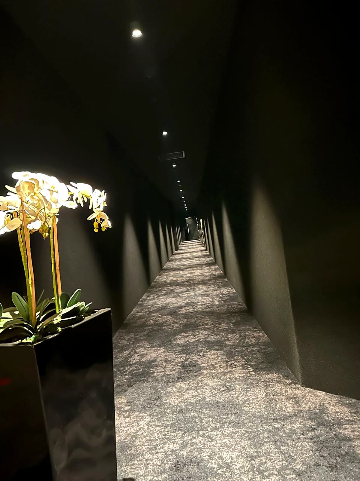 VOX Century Corner Cinema project view 10